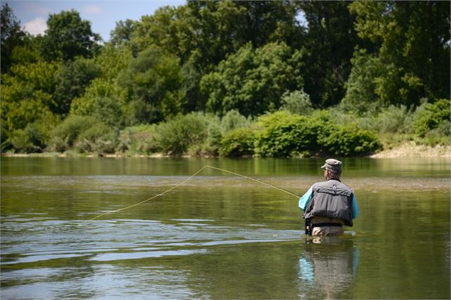 Pêche dans la rivière d'Ain - JF Basset