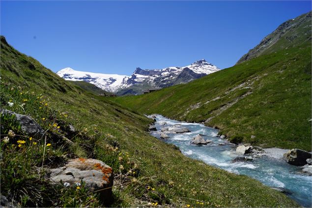 Torrent de la Rocheure en coeur de Vanoise - OT Haute Maurienne Vanoise - Ingrid Pauwels-Etiévant