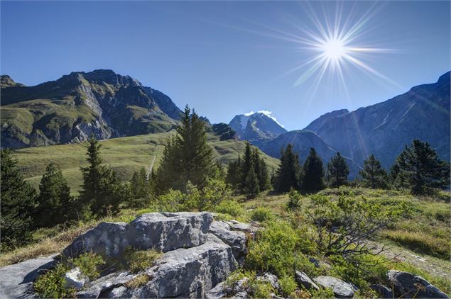 Pralognan-la-Vanoise : Plateau du Mont Bochor - Gilles Lansard