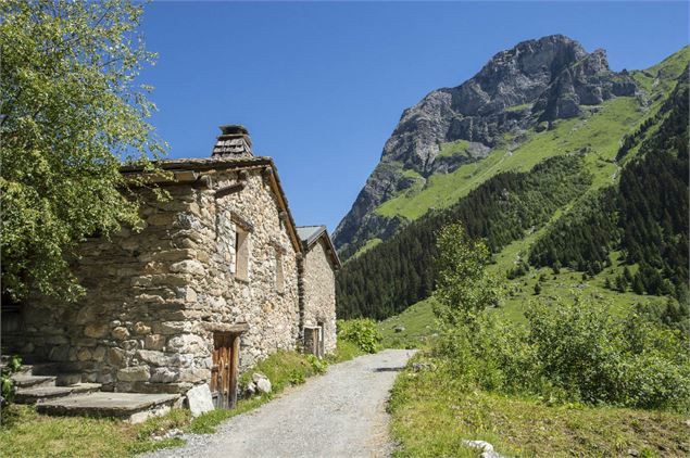 Pralognan-la-Vanoise : sentier du Lièvre