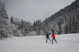 Ski de fond - Sam Ingles
