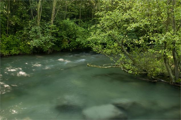 Le ruisseau des Blachères - © FSPPMA - Laurent MADELON