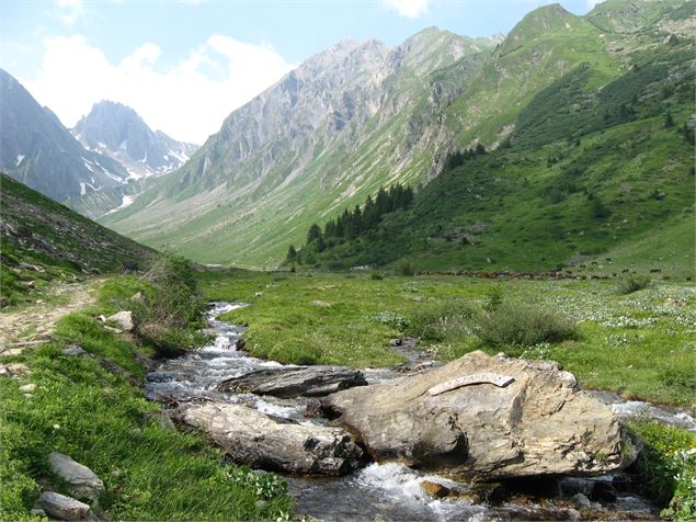 Sentier des canaux et alpages des Fours vallée de la Plagne - Marie Louise Plassiard