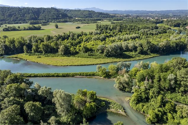 Réserve Naturelle Régionale du Haut Rhône Français - Denis Palanque