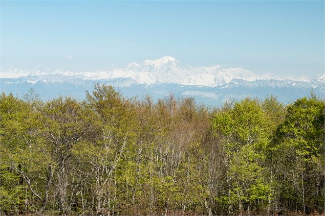 Vue sur le Mont-Blanc - Jérôme Pruniaux et Frédéric Scali