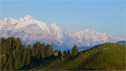 Vue sur le Mont Blanc depuis les Brasses - Môle&Brasses