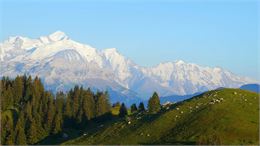 Pointe des Brasses vue sur le Mont-Blanc