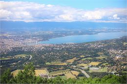 Vue sur le lac Léman et Genève depuis le Salève - OT Monts de Genève - A.Modylevskaia