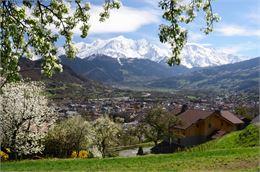 vue sur le Mont-Blanc depuis le coteau de St Roch - Patrice Labarbe
