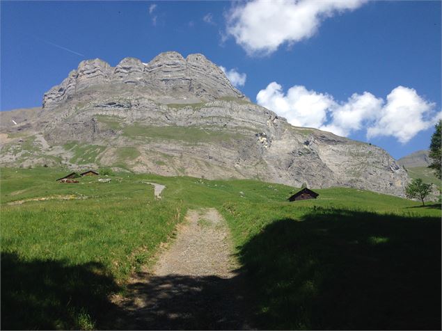 sentier pédestre : les Quatre Têtes par Doran (2364 m) - Amandine Porret