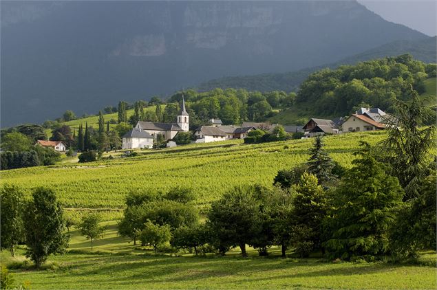 Village d'Apremont - Laurent Madelon
