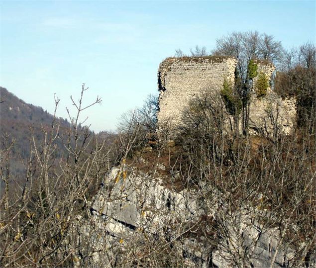 Les ruines du château de Montbel - SMAPS