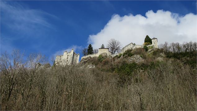 Trail du chateau - APA St Pierre d'Albigny
