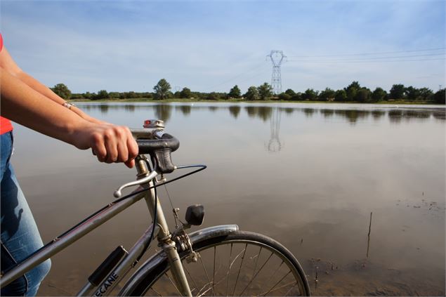 Balade à vélo en Dombes - Daniel Gillet