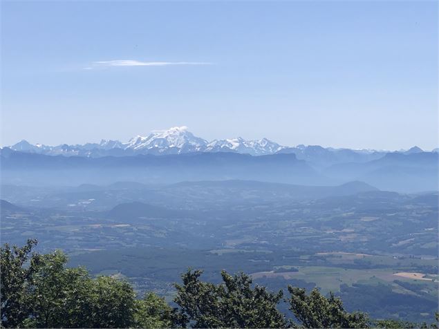 Panorama sur les Alpes et le Mont Blanc depuis le Crêt du Nu - M.Ballet
