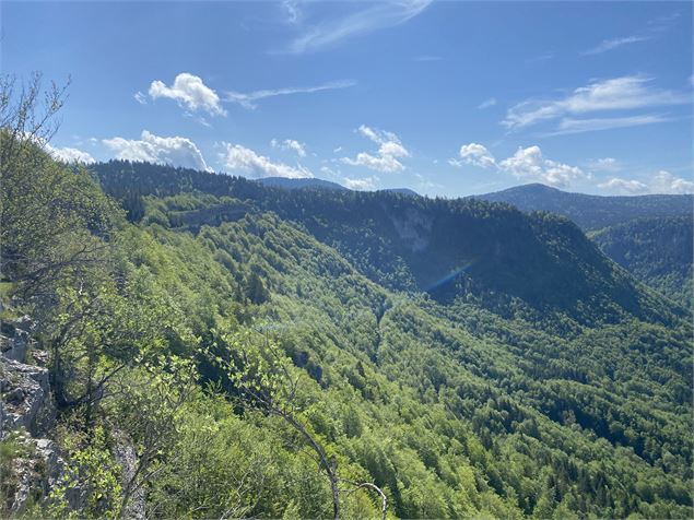 Les Roches d'Orvaz - Alizée Gréau