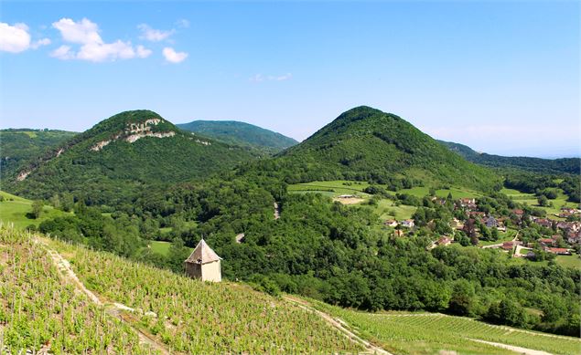 Montagnieu vignes et montagnes - Marilou Perino OT Pérouges Bugey