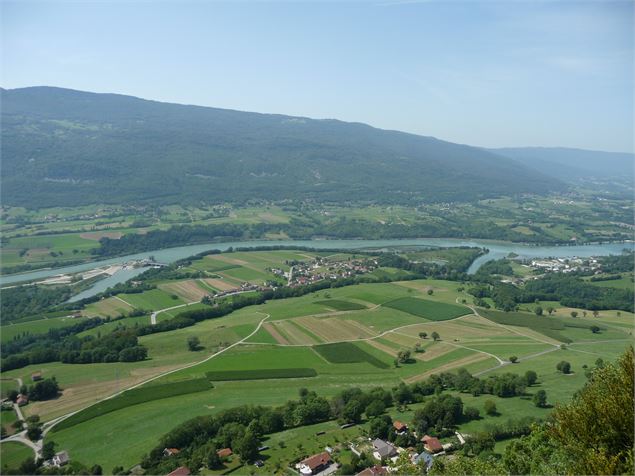 Vue sur le Rhône - Grand Lac