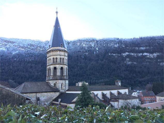 Abbatiale St Michel Nantua - Haut-Bugey Tourisme MPoirson