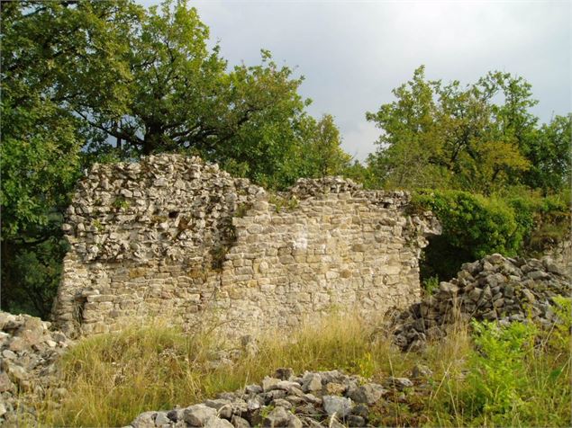 Ruines sur le site médiéval de Châteauneuf ancienne capitale du Valromey - OT Valromey-Retord