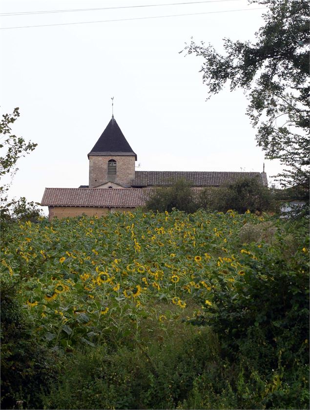Eglise de St André d'Huiriat - Jean VITAL