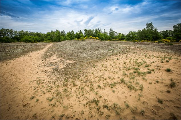 Dunes de sable sur le site des dunes des Charmes à Sermoyer - Département de l'Ain, S. Tournier