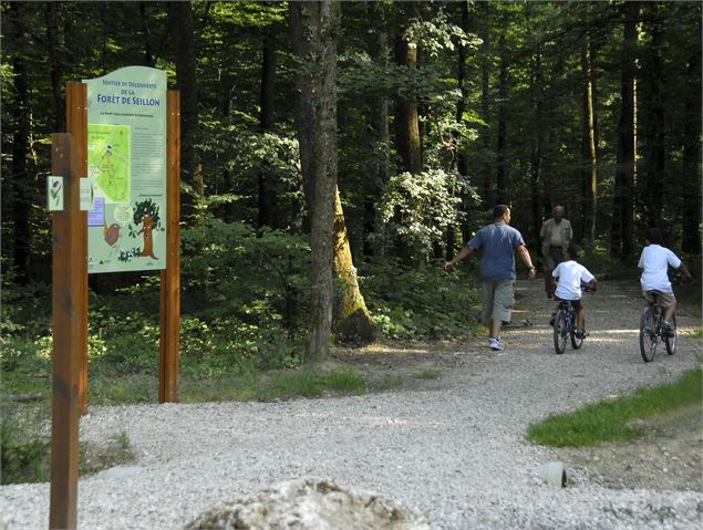 Sentier de découverte en famille dans la Forêt de Seillon - (6) seillon©JF_OTBBA -RT