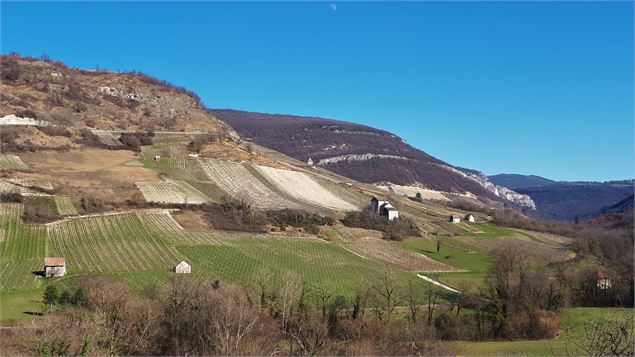 la vallée de la Brive et les vignobles du Bugey - Marilou Perino