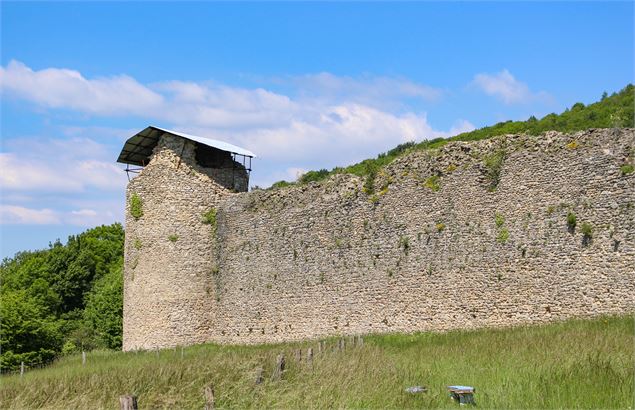 château des Allymes - M.Périno