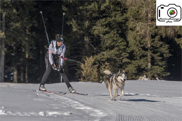 Ski joëring Massif des Brasses ski de fond Plaine Joux La Pesse Canirando Loriane Beaud proche Genèv