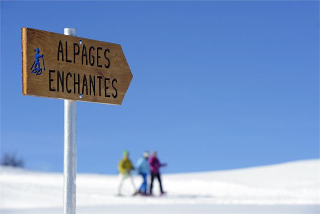 Alpages Enchantés - A.Abondance