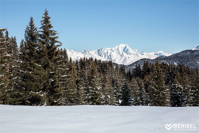 vue sur le Mont Blanc - Aymoz S.