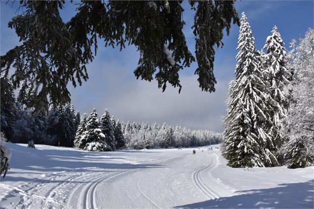 Les pistes de ski de fond du Plateau de Retord - Office de Tourisme Bugey Sud Grand Colombier