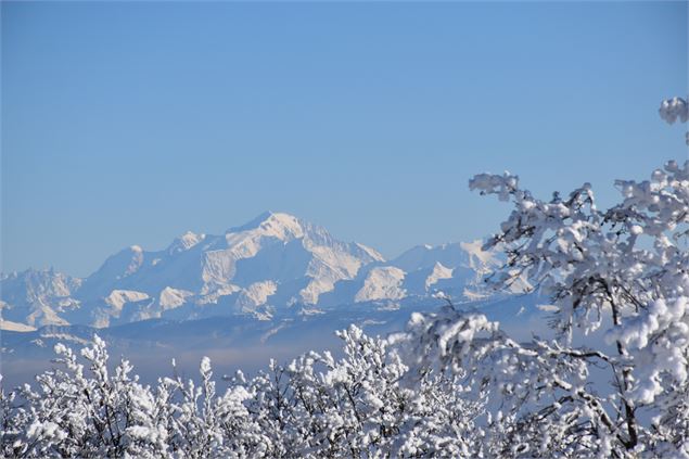 Le panorama sur les Alpes et le Mont Blanc depuis les pistes du Plateau de Retord - Office de Touris