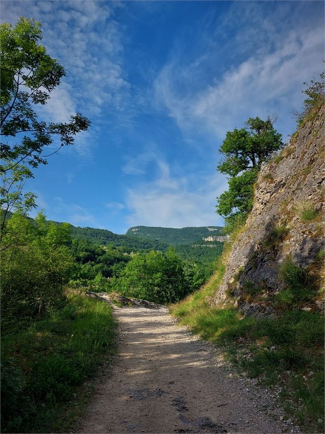 Randonnée pédestre : Le Tour du Mont de Cordon - CC BugeySud