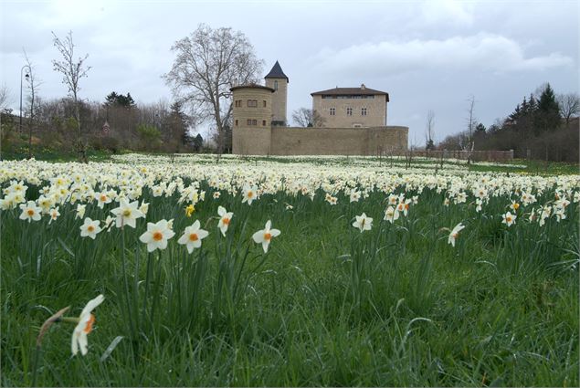 Façade ouest du château - Mme Goureau
