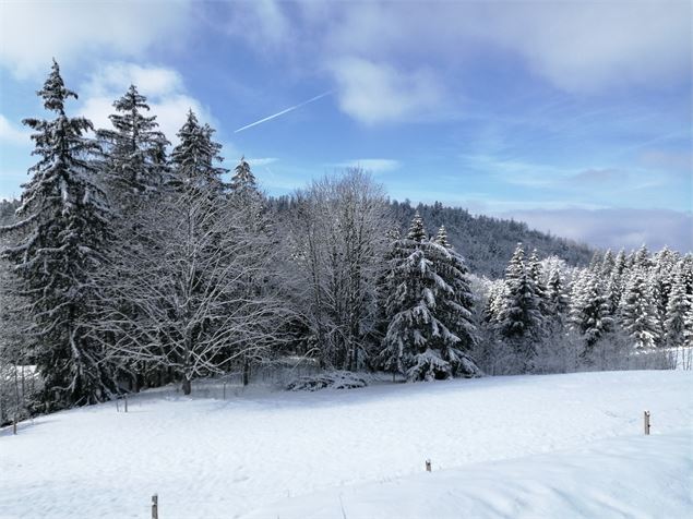 La ferme Guichard depuis La Praille - Piste bleue de ski nordique - HautBugeyAgglomération/Sébastien