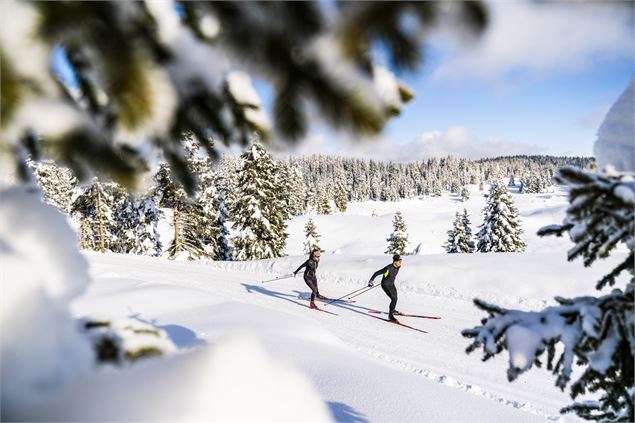 La Borne des 3 Cantons - Piste rouge de ski nordique - BenjaminBecker - ENJ