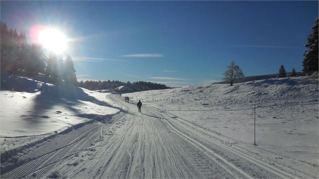 Piste de ski de fond - ©OTpaysdegex