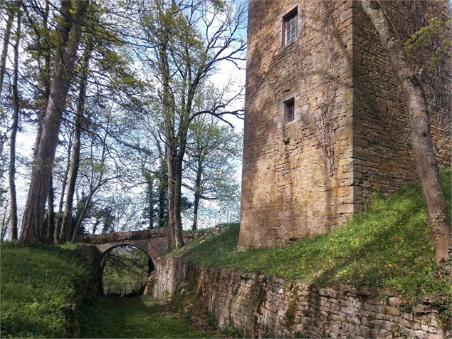 Chateau de Coligny - scalland