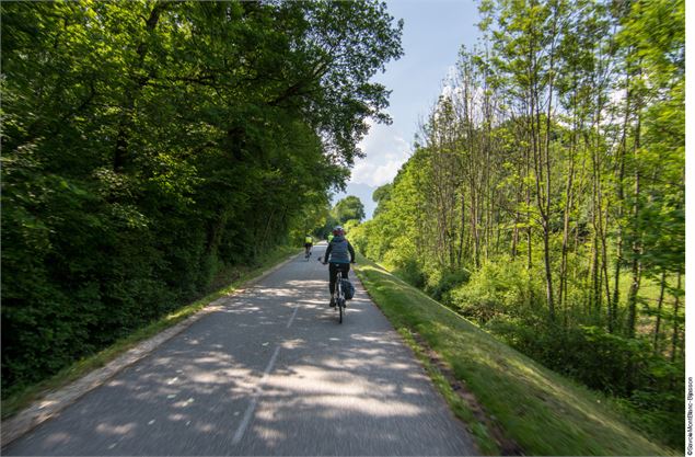 Vélo sur la voie verte autour du lac d'Annecy - Doussard - @SavoieMontBlanc-Bijasson