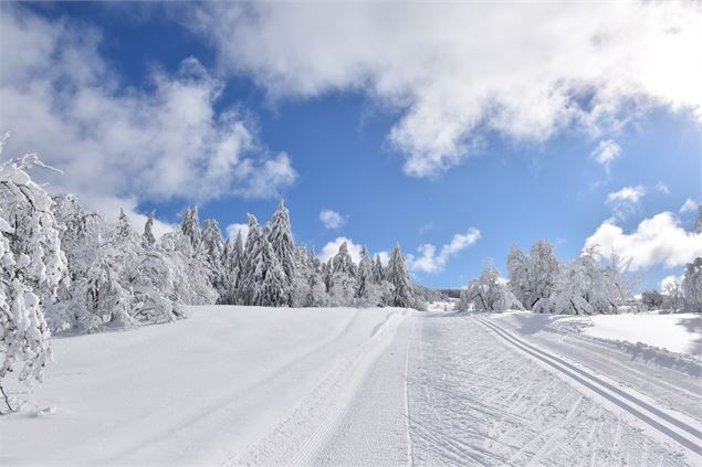 Ski de fond sur le Plateau de Retord - © M.Ballet