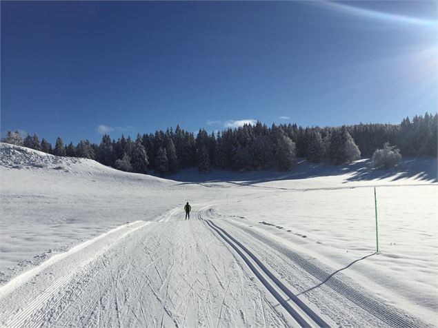 Combe de la Vézeronce en ski de fond sur le Plateau de Retord - © Philippe Carrara