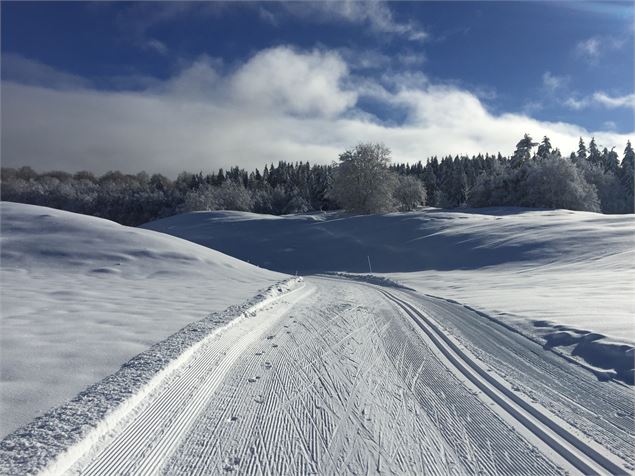 Piste de ski de fond sur le Plateau de Retord - © Philippe Carrara