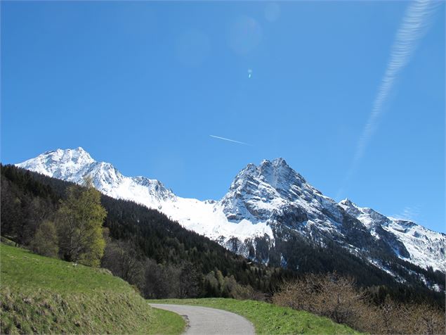 Les Montagnettes - Le Planay - N Mousselard
