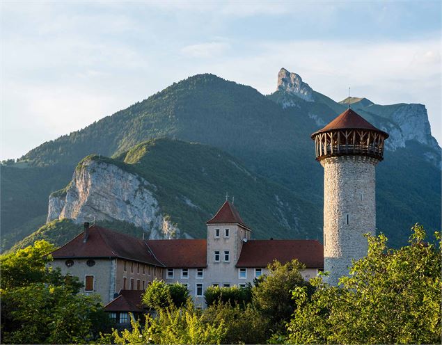 Château de Faverges vue montagne