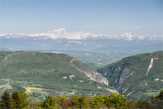 Vue Mont Blanc - CP Frédéric Scali et Jérôme Pruniaux