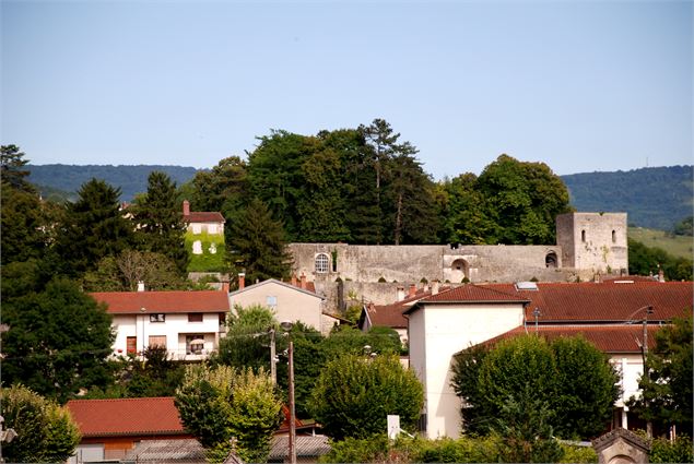 Château de Poncin - A. Muselle