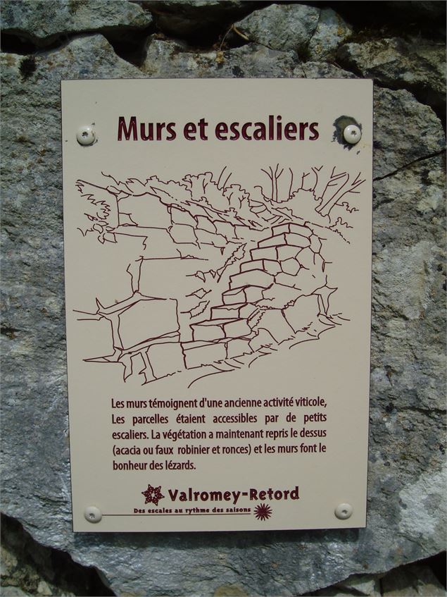 Sentier nature de Parnaux à Chavornay - Office de Tourisme Bugey Sud Grand Colombier