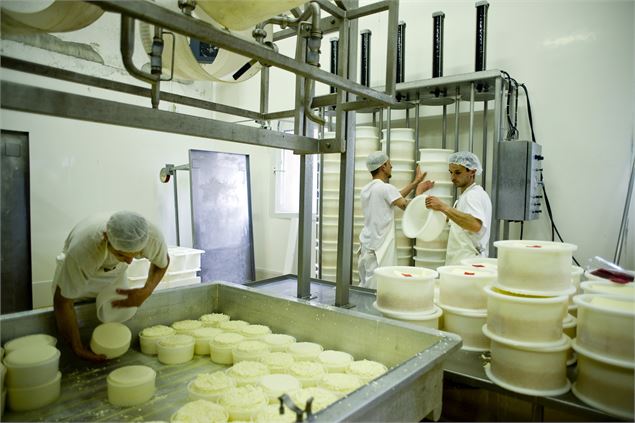 Fabrication du fromage - Coopérative laitière Ici en Chartreuse